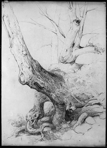 435px-sketch_from_nature_met_103227